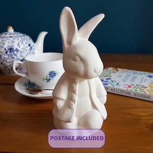 Paint Your Own Ceramic Peter Rabbit Kit, Animal Bunny Bisque Figure, Eco Friendly, DIY Ceramic Craft Kit With Paints, Creative Crafter Gift