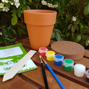 Paint Your Own Plant Pot Kit | Terracotta Herb Growing Kit | Ceramic Painting Kit for Adults | Self Care Gift | Plant Lover Gift UK