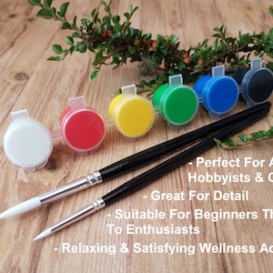 6 different coloured acrylic paints in a strip with a pair of detail paintbrushes for adults