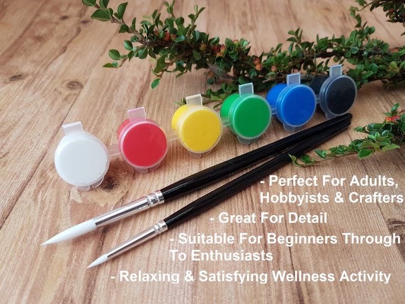 6 different coloured acrylic paints in a strip with a pair of detail paintbrushes for adults