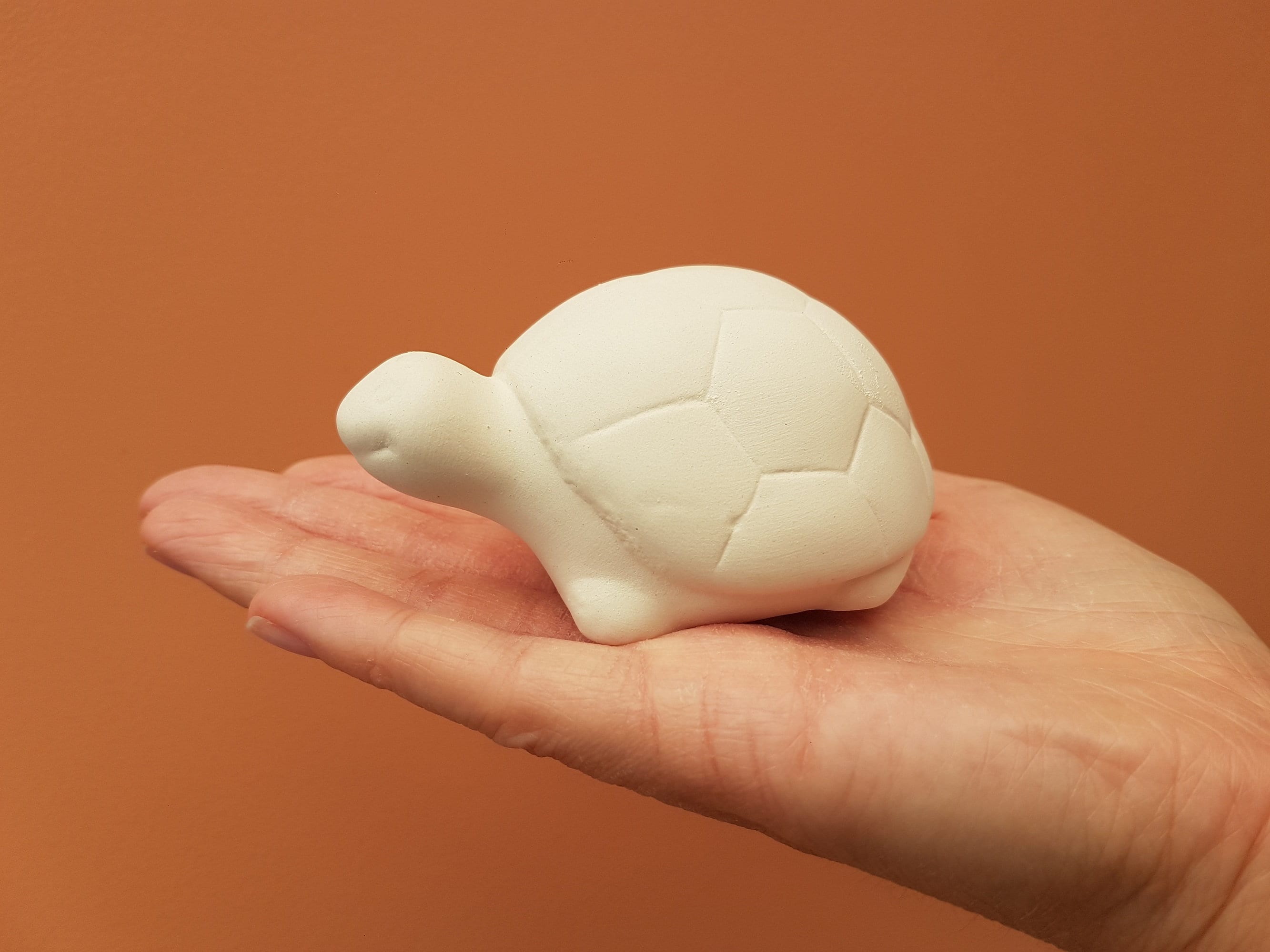 Paint Your Own Ceramic Animal Kit Wild Animal Nature Figure Etsy UK