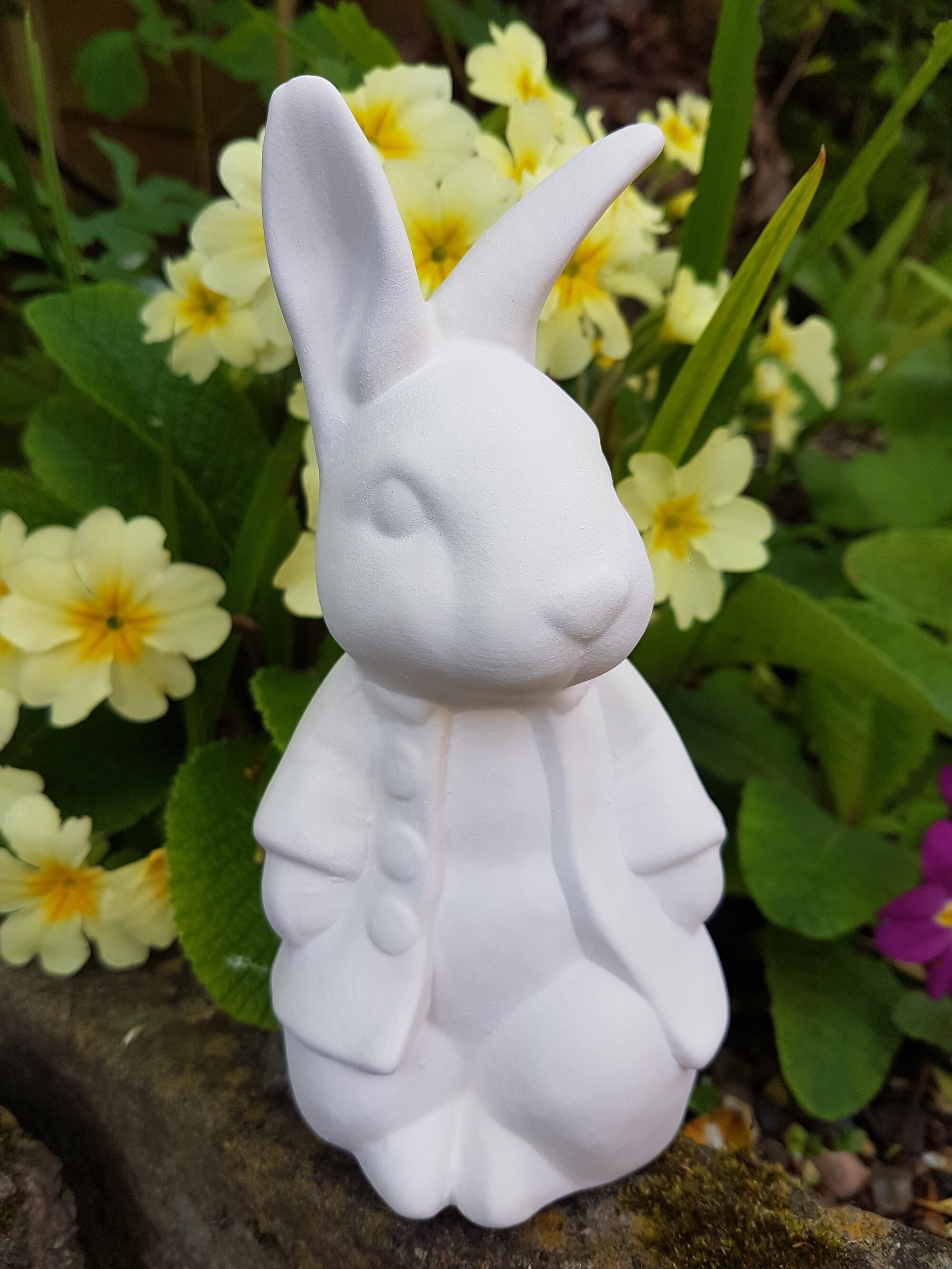 Clay Making Peter Rabbit Paint Your Own Ceramic Peter Rabbit Kit, Animal Bunny Bisque Figure ...
