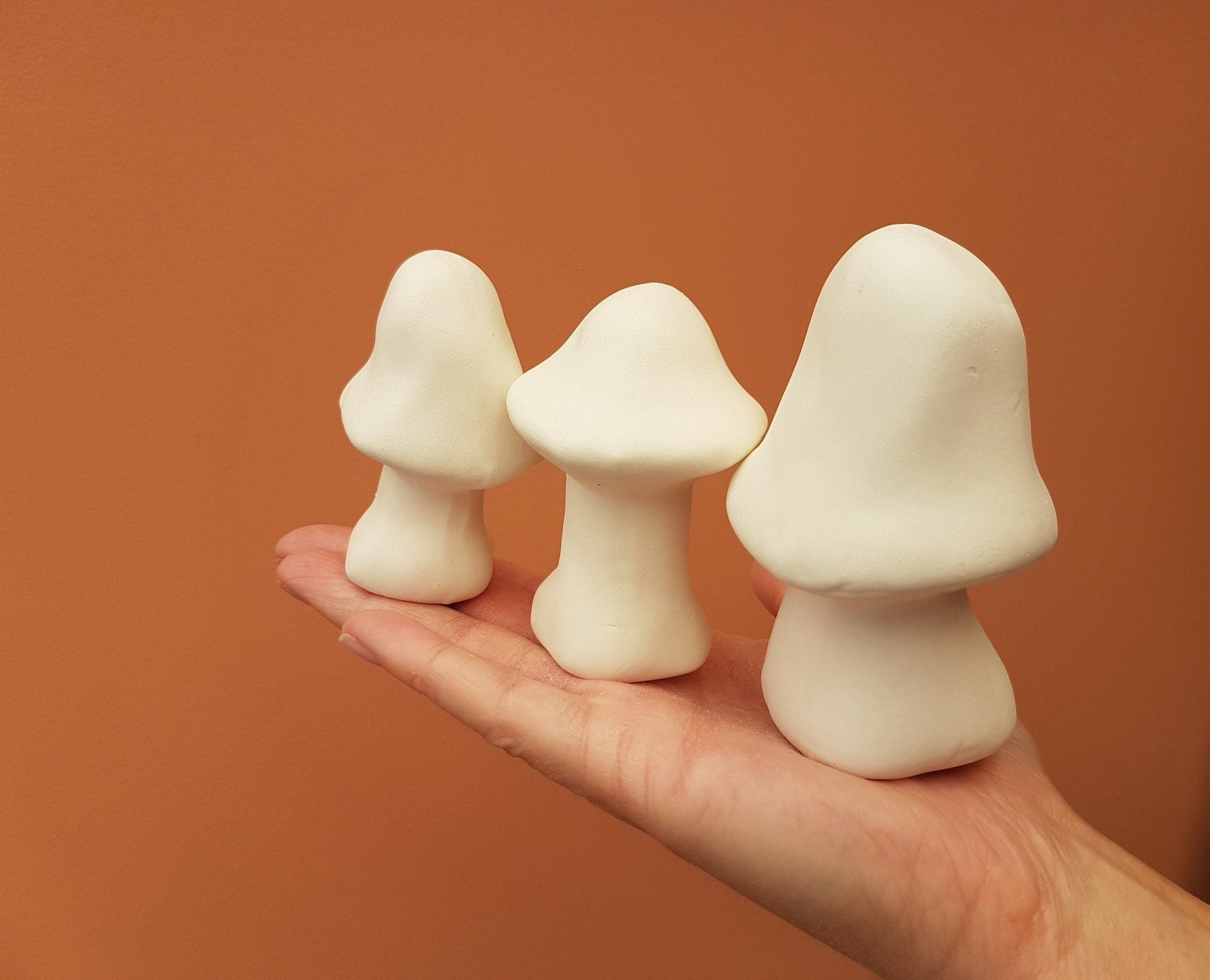 Paint Your Own Ceramic Mushrooms Kit Set of 3 Bisque Figures Etsy UK