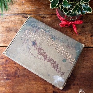 CLEARANCE - 1887 Illustrated Book - Nature&#39;s Hallelujah by Irene Jerome - Shabby Chic and Romantic Decor