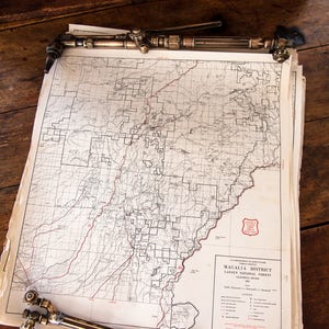 California Forest Maps der 1950er Jahre - 50 x 45 cm - einzeln erhältlich - als Rahmen, als Tapete oder für ein Mix-Media-Projekt