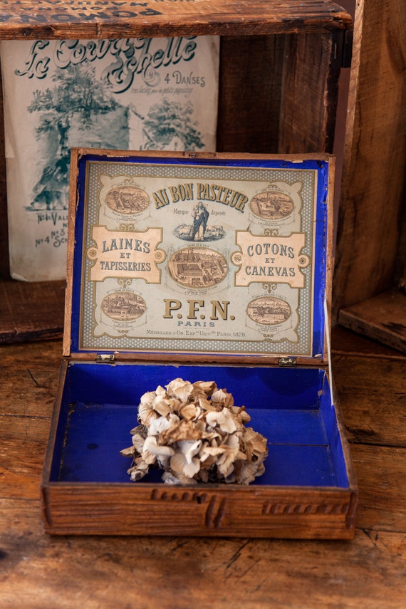 Early 1900s French Wooden Retail Box - Au Bon Pasteur - Wool and Threads - Au Bon Pasteur