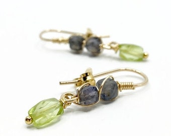 Elegant 14K Goldfilled Earrings with Iolite & Peridot