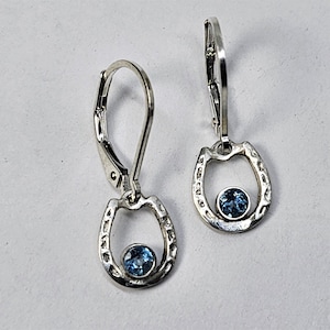 Best Horse Shoe Earrings | Horse Shoe Earrings for Women | Horse Shoe Earrings with Gems  | Horse Shoe Lever back Earrings |  Lucky Earrings