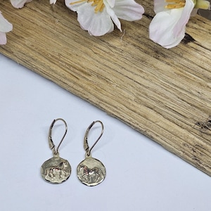 Horse Earrings for Women, Horse Earrings, Equestrian Jewelry, Horse Treasures, Dressage Horse Earrings, Horse Earrings,  Horse Shoe Earrings