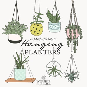 Opknoping Planters Clip Art - Plants Clip Art - Hand-drawn Plant Doodles - Cactus Clip Art, Sappige Clip Art, Kamerplanten, Hangende Planten