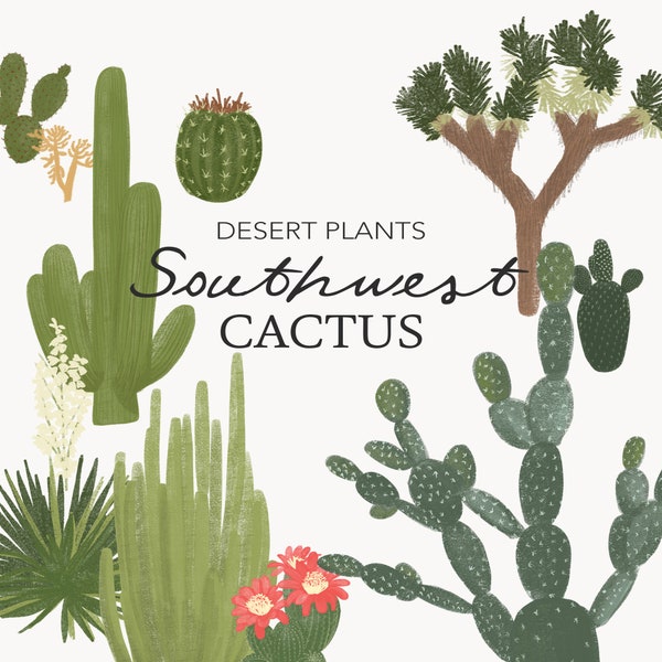 Cactus Southwest Desert Clip Art - Hand Drawn Cactus and Desert Plants Doodle Set - Joshua Tree, Saguaro Cactus, Prickly Pear, Yucca Plant