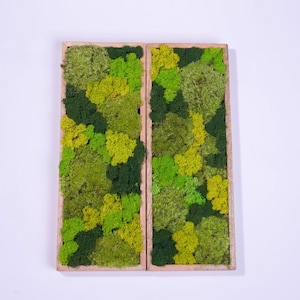 Moss decoration, set of 2, Moss wall art, moss picture, Green wall decoration, Moss wall or plant wall,  Preserved Moss Art Framed, green
