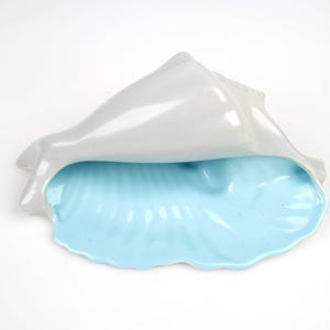 Op de afbeelding: Een keramische schelp met een lichtblauwe binnenkant en een grijze buitenkant. De schelp is open en de binnenkant is zichtbaar.