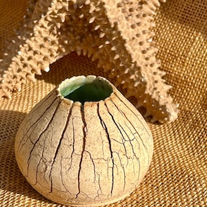 May include: A small, beige ceramic vase with a cracked texture and a green interior. The vase is round with a wide opening. A beige starfish is in the background. The vase is on a woven surface.