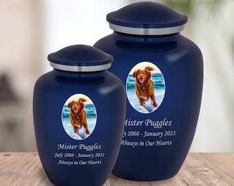 Urna de cremación para cenizas de mascotas con retrato personalizado: 2 tamaños y 7 colores a elegir