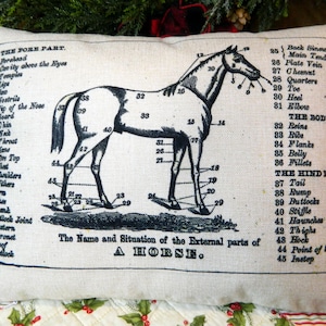 Horse Diagram Pillow Handmade 100% Cotton Pillow