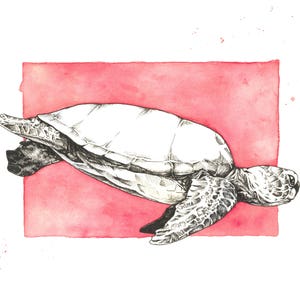 Sea Turtle Print image 1