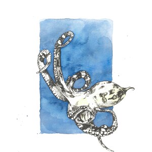 Octopus Print