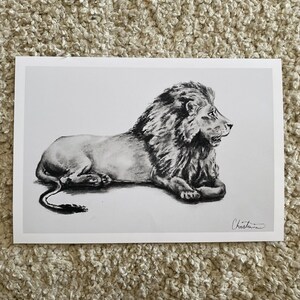 Lion Giclée paper print
