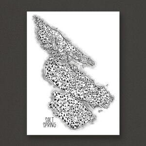 Salt Spring Island Map Print: Illustrated Fantasy Style Wall Art