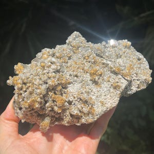 May include: A natural mineral specimen featuring a cluster of small, golden-brown crystals on a light gray matrix. The rough, textured surface of the rock is held in a hand, showcasing its organic form and color variations.