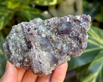 グリーンキュービックフローライト結晶 – ナミビア、オコルス鉱山