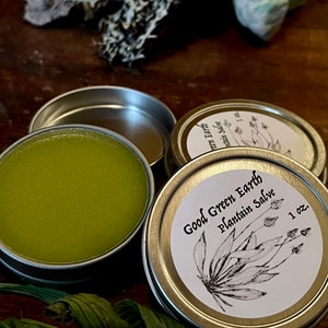 Plantain Salve by Good Green Earth