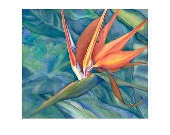 wall art decor coastal flower - orange green art - bird of paradise flower - tropical decor - coastal farmhouse - gifts - Gail M Austin art