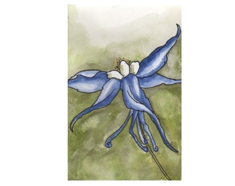 columbine Colorado flower painting - colorado wildflower portrait - 3x5 wall decor - mini floral blue white - watercolor original