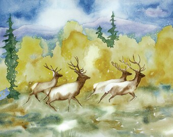 Wall art prints elk watercolor - Colorado Fall Mountain Art - Elk animal - wilderness art - art - Colorado - woodland natural landscape