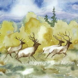 Wall art prints elk watercolor Colorado Fall Mountain Art Elk animal wilderness art art Colorado woodland natural landscape image 5