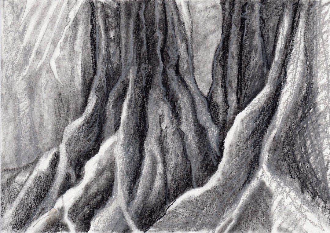 Wall Art Drawing in Pencil Charcoal Tree Art Study Original Wall Art