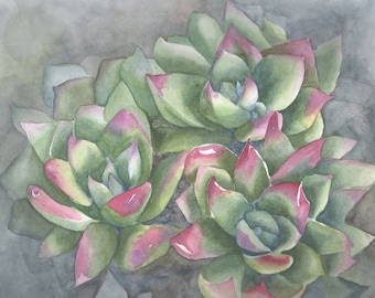 wall art succulents painting - green red decor - watercolor orginal art - green grey - beautiful cactus art - gift item - Gail M Austin Art