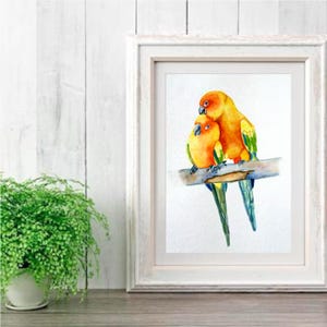 Lovebirds Art Print - Sun Conures watercolor Painting, Wall Art decor