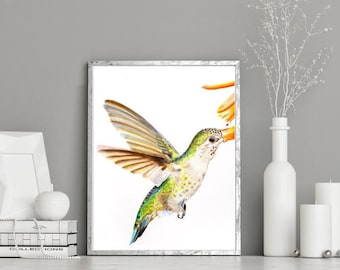 Hummingbird Art Print - Wall Decor -Home Decor, colored pencil artwork