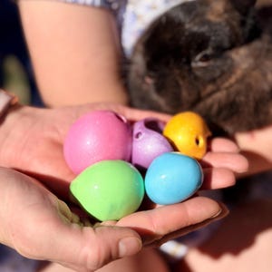 Op de afbeelding: Handen die een verzameling kleurrijke, ronde, op Pasen geïnspireerde objecten vasthouden. De objecten zijn in tinten roze, paars, geel, groen en blauw. Op de achtergrond is een donkerbruin konijn te zien.