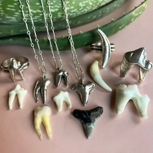 Sterling Silver Cast Tooth Ring or Necklace