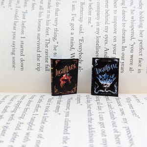 Lightlark inspired book earrings, boktok, nightbane inspired earrings, Alex aster
