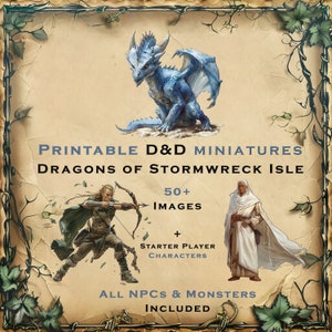 Drachen von Stormwreck Isle DND MINIATUR und KUNST Sammlung - Druckbare Miniaturen Dungeons und Dragons für Tabletop D&D rpg