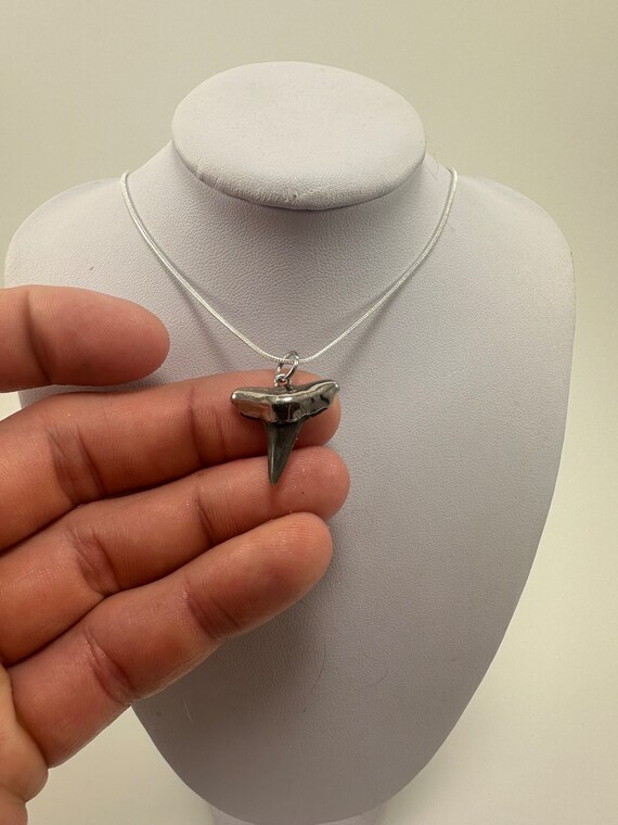 Nickel Silver Plated Electroplated Lemon Shark Tooth w/Stainless Steel Silver Chain View 4
