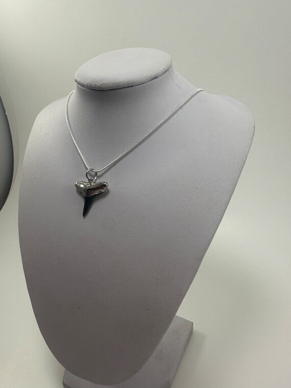 Nickel Silver Plated Electroplated Lemon Shark Tooth w/Stainless Steel Silver Chain View 3