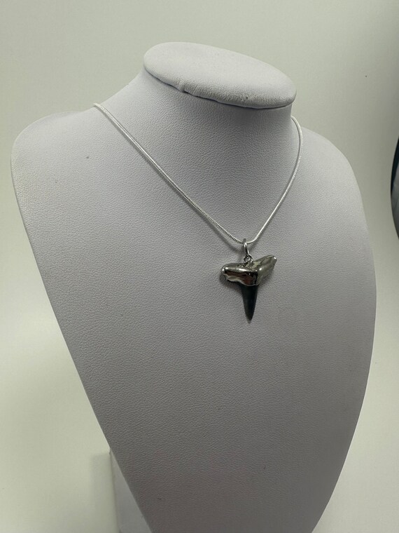 Nickel Silver Plated Electroplated Lemon Shark Tooth w/Stainless Steel Silver Chain View 2