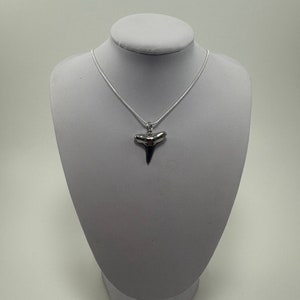 Nickel Silver Plated Electroplated Lemon Shark Tooth w/Stainless Steel Silver Chain