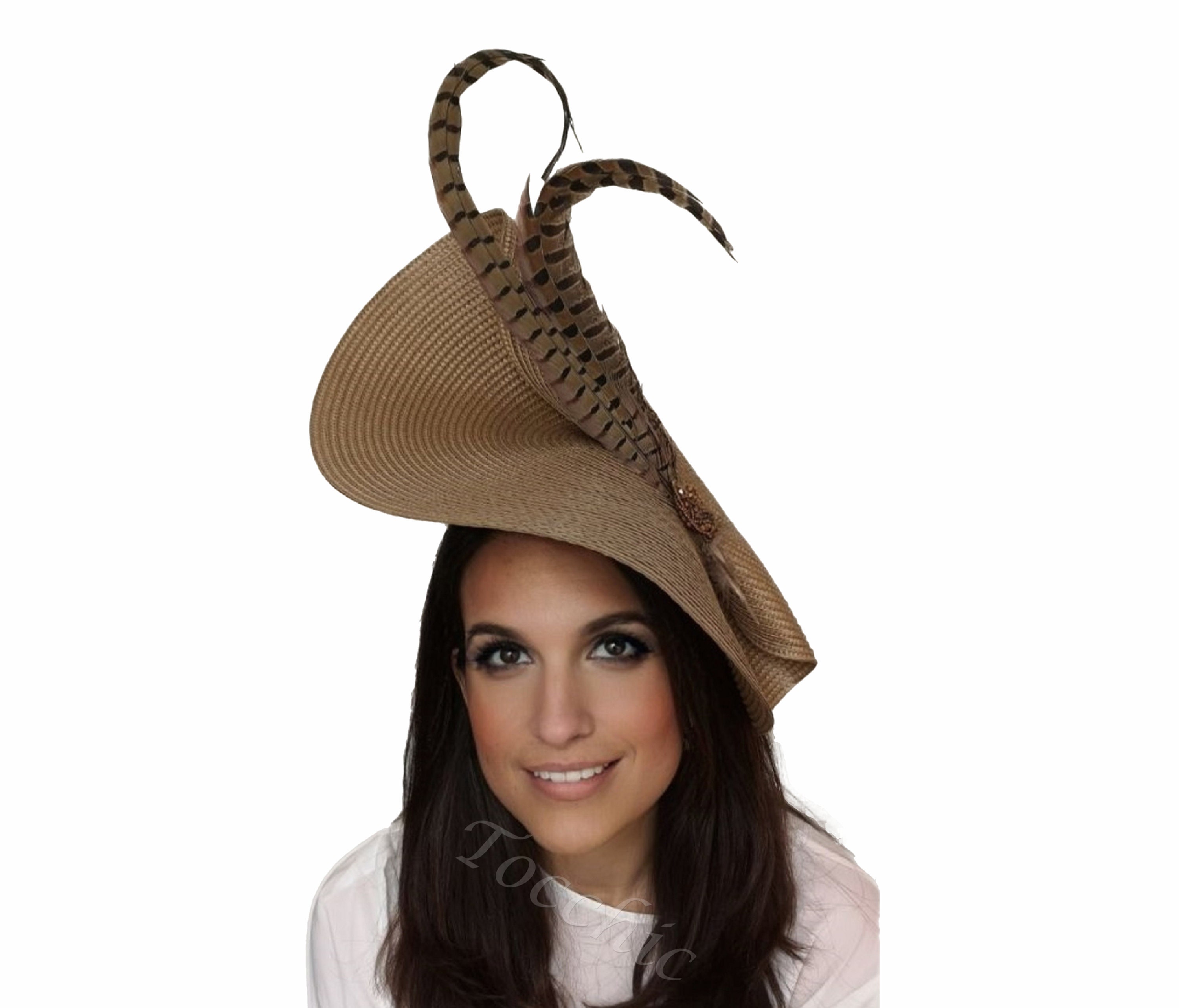Camel Horse Racing Hatgold Wedding 
