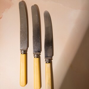 Vintage Cutlery image 5