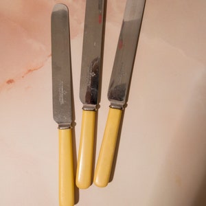 Vintage Cutlery image 4