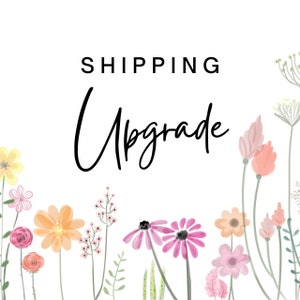 Shipping Upgrade to USPS Priority Mail