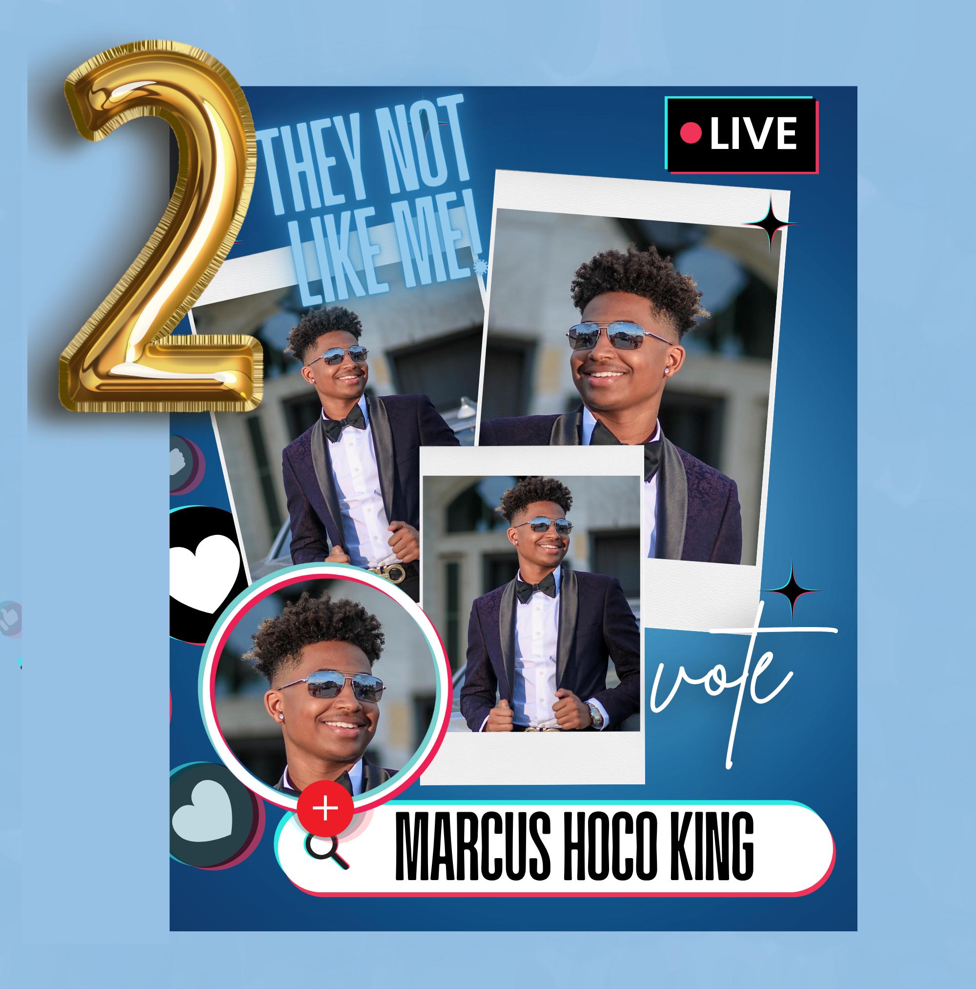 Hoco Sticker HOCO, Homecoming King Campaign, Class Government Body, Buttons ...