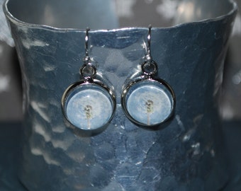 Earrings white dandelion on a light blue background