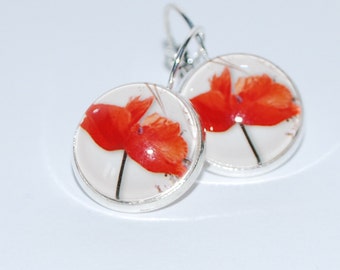 Earrings dangling red poppy